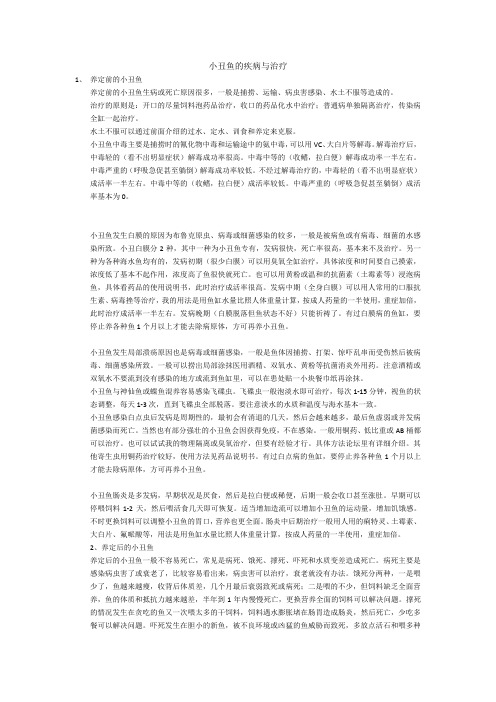 小丑鱼的疾病与治疗