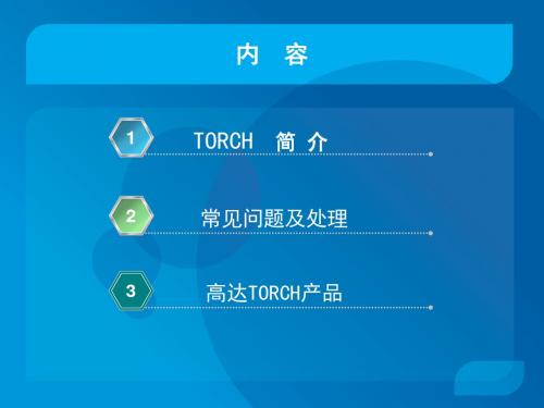 TORCH介绍 PPT课件