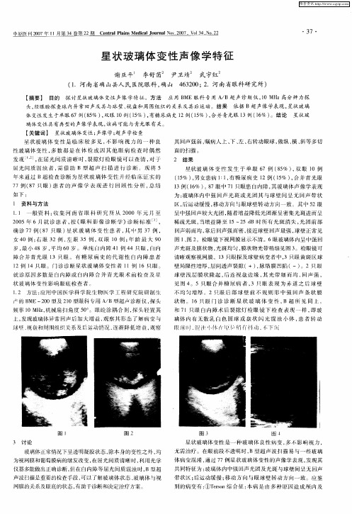 星状玻璃体变性声像学特征