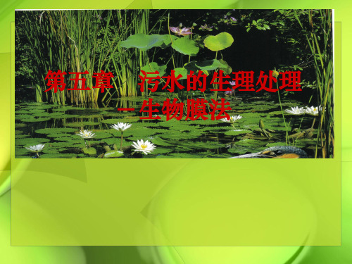 第五章 生物膜法