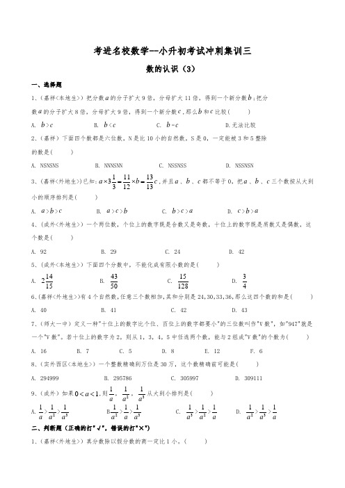 考进名校小升初数学考前冲刺集训3---数的认识(3)(精选各大名校历年招生真题,覆盖小升初所有考点)