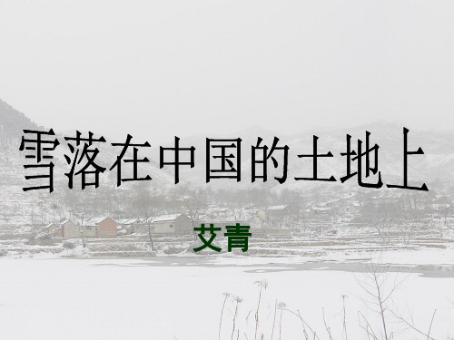 人教版语文高二雪落在中国的土地上 课件