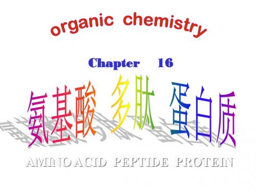 第十六章 氨基酸