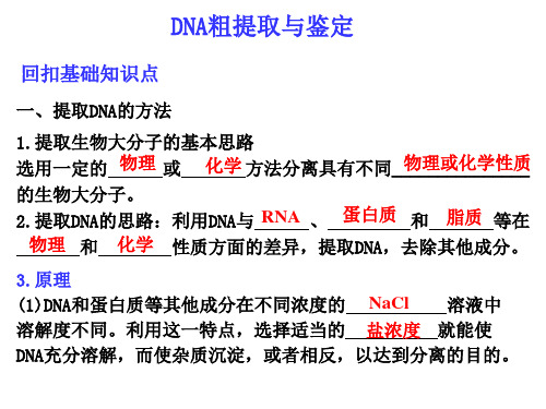 DNA粗提取与鉴定实验讲解