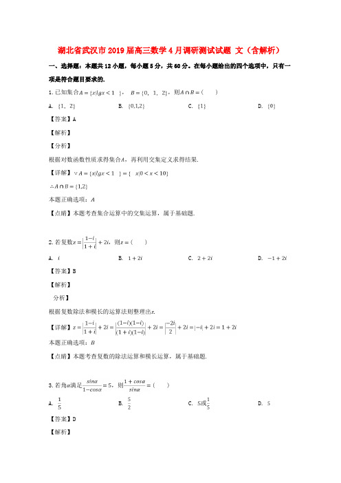 湖北省武汉市2019届高三数学4月调研测试试题文(含解析)