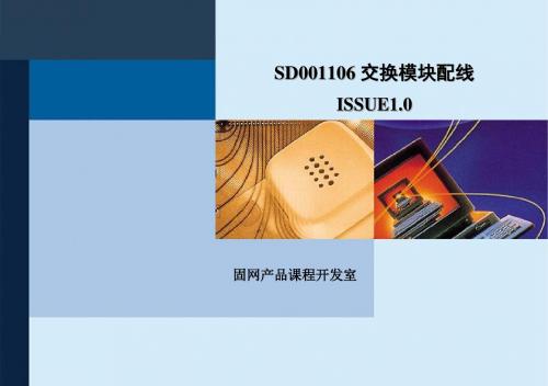 SD001106交换模块配线ISSUE10(精)