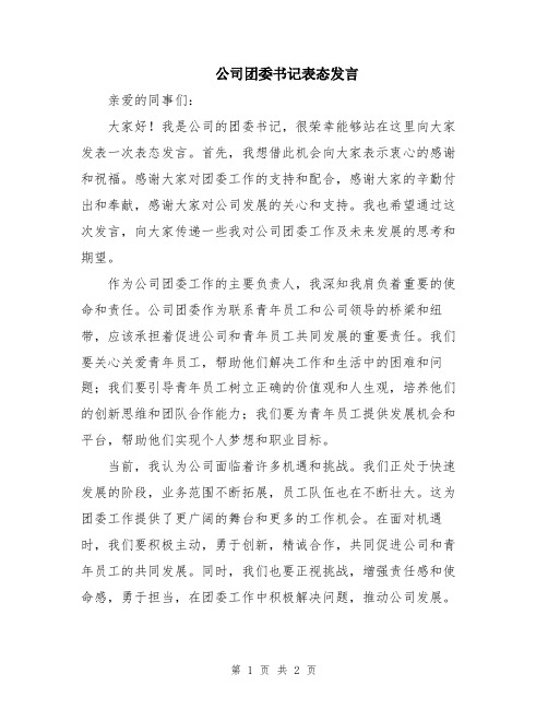 公司团委书记表态发言