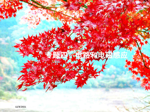 高考物理二轮复习专题四电路和电磁感应第1讲恒定电流和交变电流课件