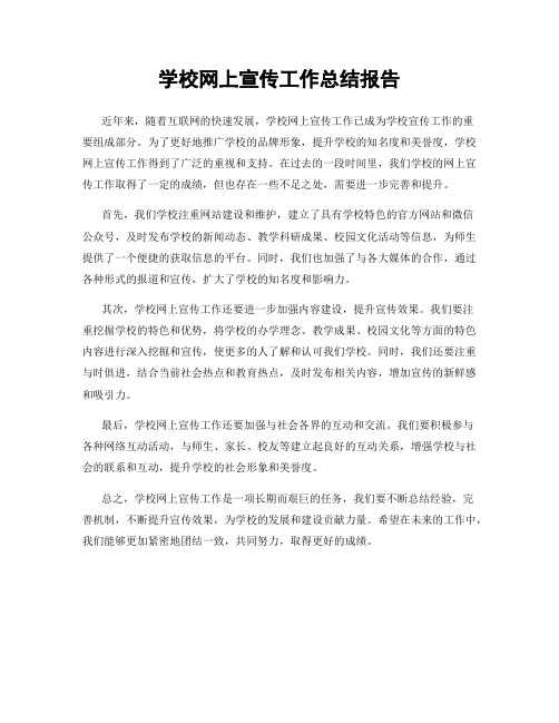 学校网上宣传工作总结报告