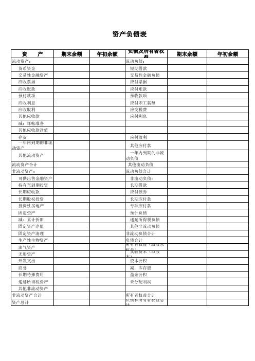 空白财务报表范例