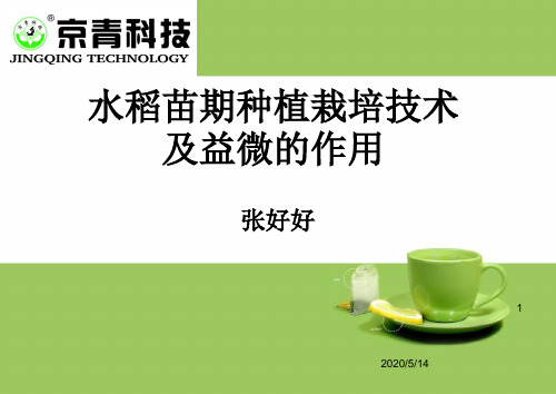 黑龙江省水稻种植栽培技术PPT精选文档