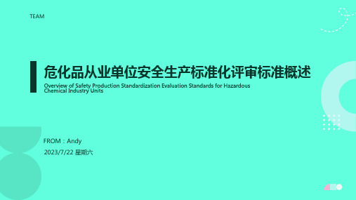 2023年危险化学品从业单位安全生产标准化评审标准 (2)