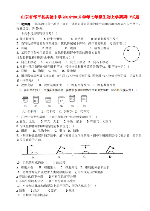 山东省邹平县实验中学七年级生物上学期期中试题 新人教版