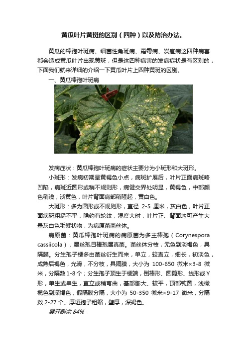 黄瓜叶片黄斑的区别（四种）以及防治办法。