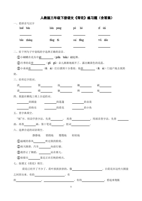 人教版三年级下册语文《荷花》练习题(含答案)