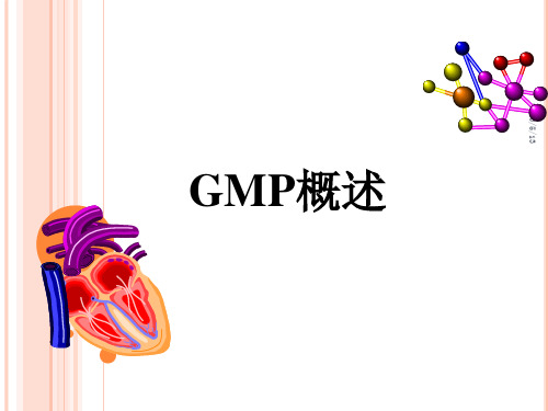 GMP概论