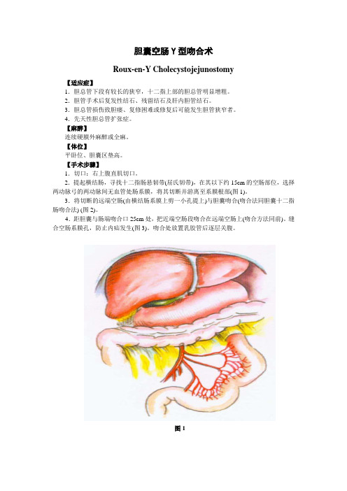 胆囊空肠Y型吻合术