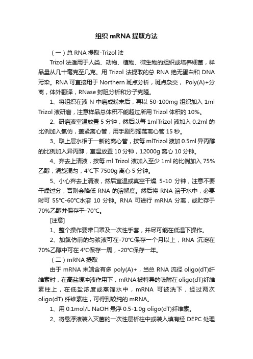 组织mRNA提取方法