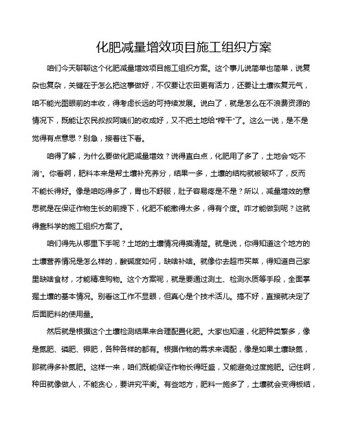 化肥减量增效项目施工组织方案