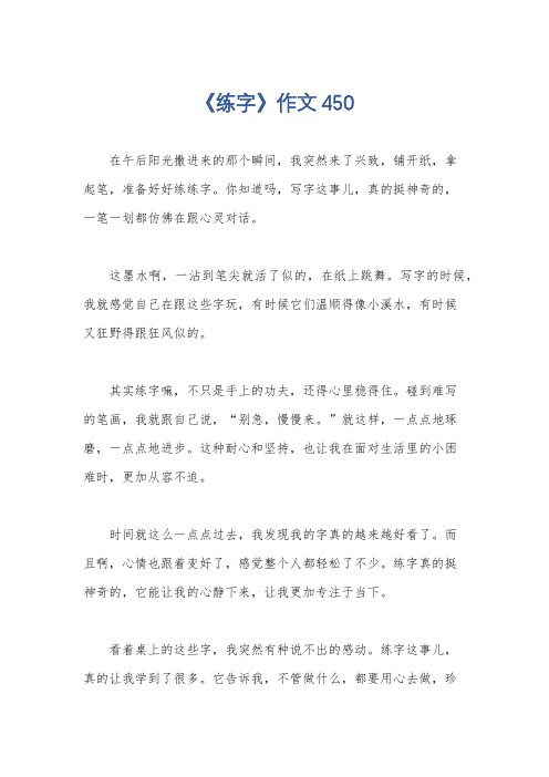 《练字》作文450