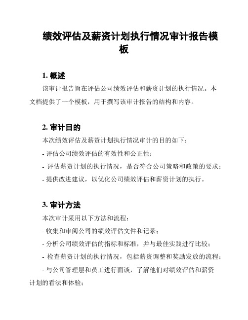 绩效评估及薪资计划执行情况审计报告模板