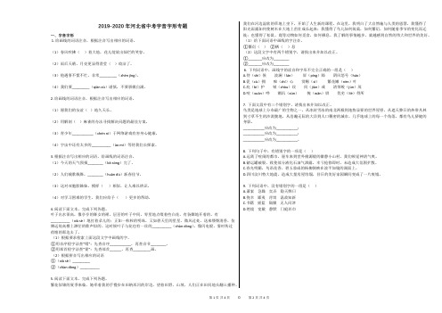 2019-2020年河北省中考字音字形专题