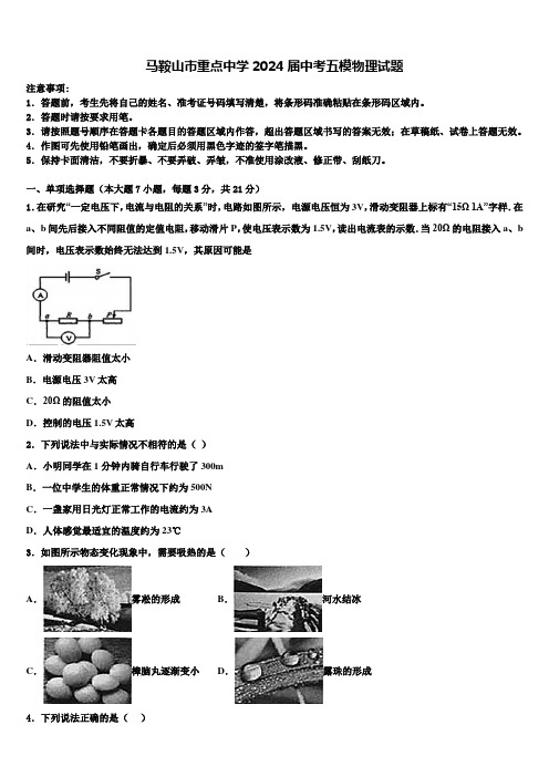 马鞍山市重点中学2024届中考五模物理试题含解析