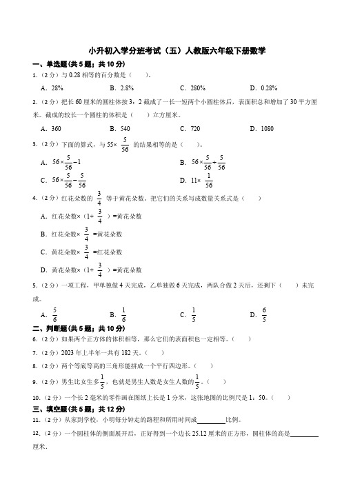 小升初入学分班考试(试题)人教版六年级下册数学(含答案) (3)