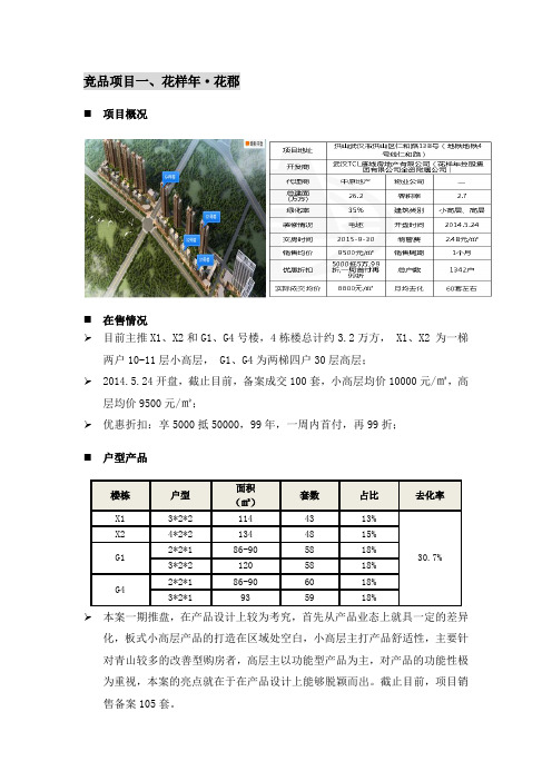 竞品项目分析模板