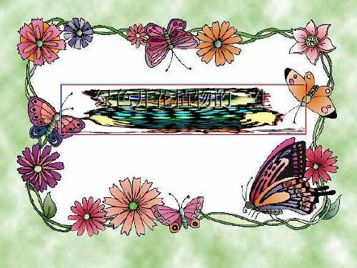 绿色开花植物的一生PPT课件4