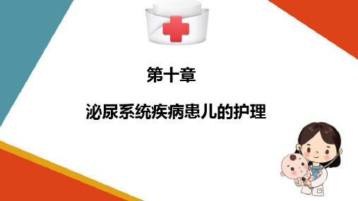 泌尿系统疾病患儿的护理—儿童泌尿系统解剖生理特点(儿科护理学课件)