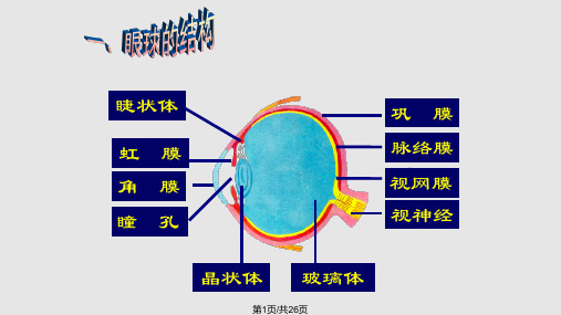 合理用脑高效学习PPT课件