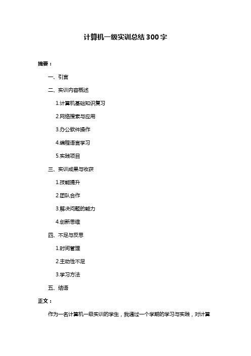 计算机一级实训总结300字