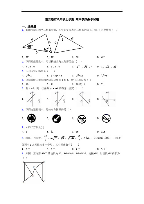 连云港市八年级上学期 期末模拟数学试题