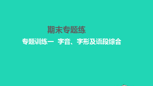 八年级语文下册 专题训练一 字音、字形及语段综合习题课件 新人教版