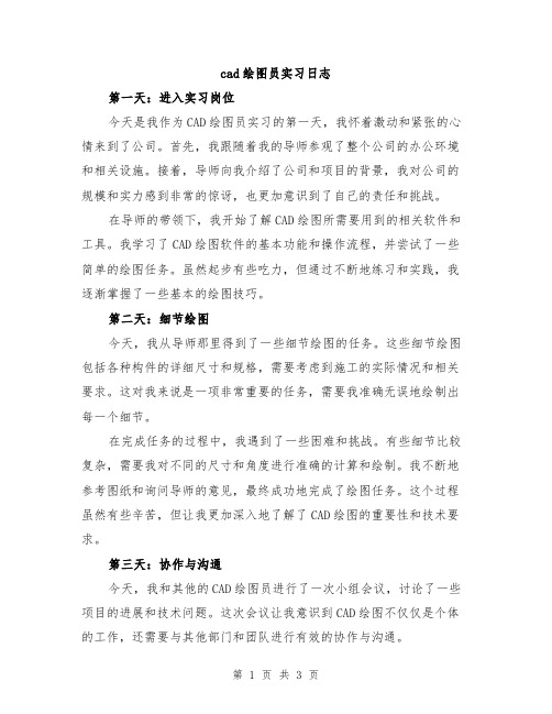 cad绘图员实习日志