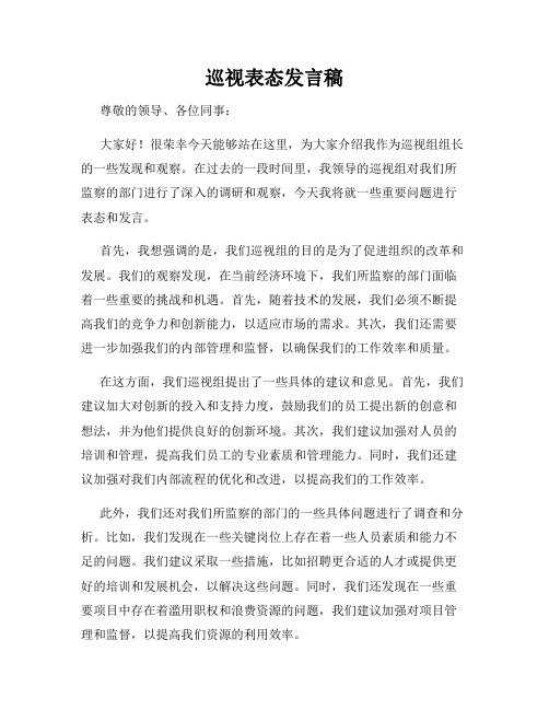 巡视表态发言稿