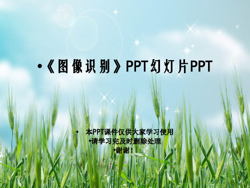 《图像识别》PPT幻灯片PPT