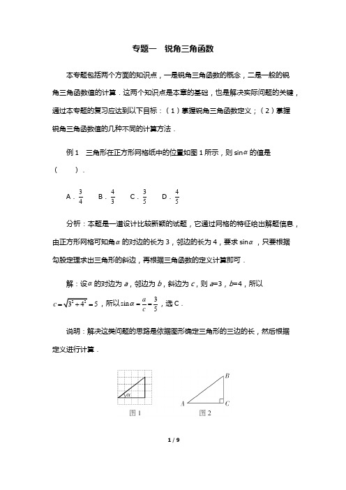 直角三角形的边角关系专题分类(一)