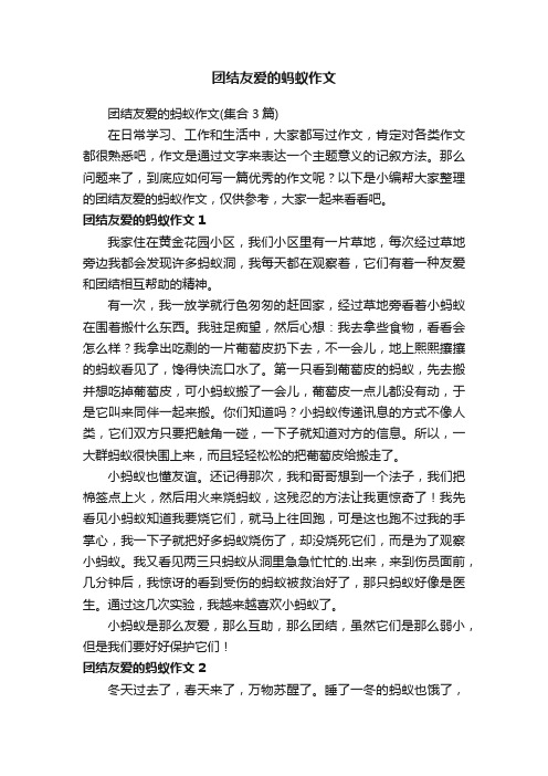 团结友爱的蚂蚁作文（集合3篇）