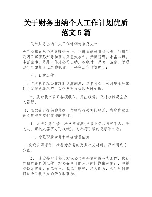 关于财务出纳个人工作计划优质范文5篇