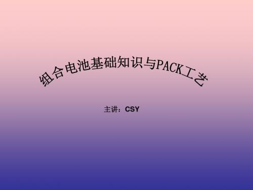 组合电池基础知识PACK工艺