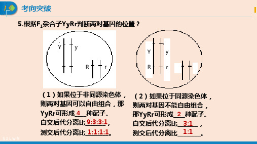 【高中生物】基因在染色体上课件 2021-2022学年高一下学期生物人教版必修2