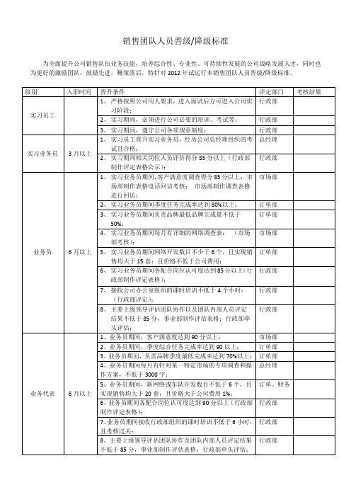 销售团队晋级标准