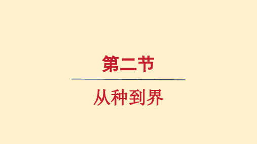 从种到界 课件-2024-2025学年人教版生物七年级上册