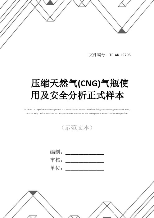 压缩天然气(CNG)气瓶使用及安全分析正式样本