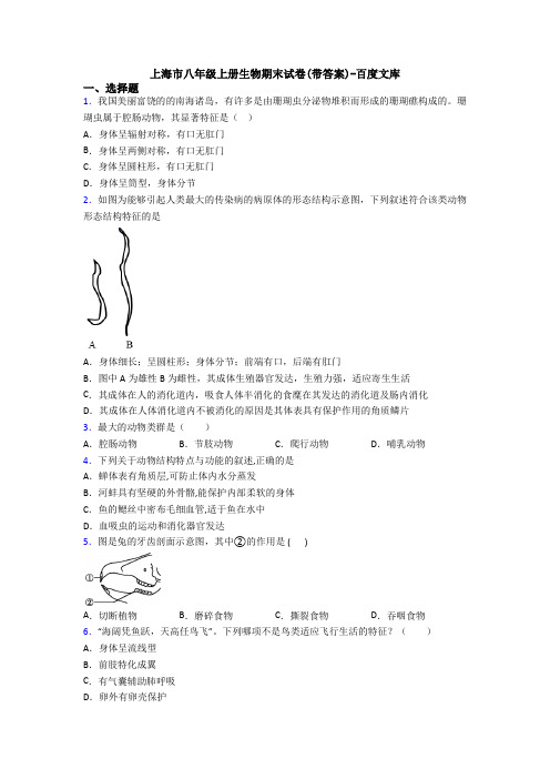 上海市八年级上册生物期末试卷(带答案)-百度文库