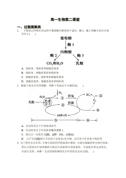 光合作用与呼吸作用相关题型专训