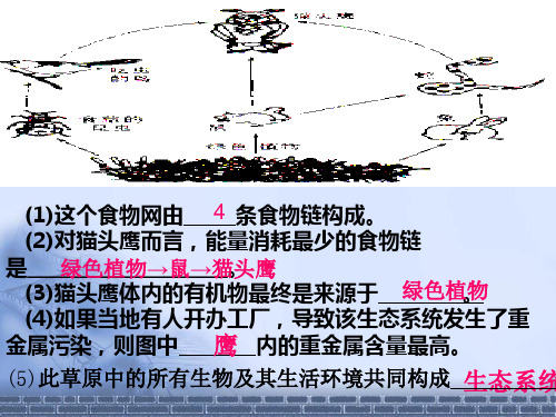 人教版七年级上册 生物 课件 1.2.3《生物圈是最大的生态系统》(共39张PPT)