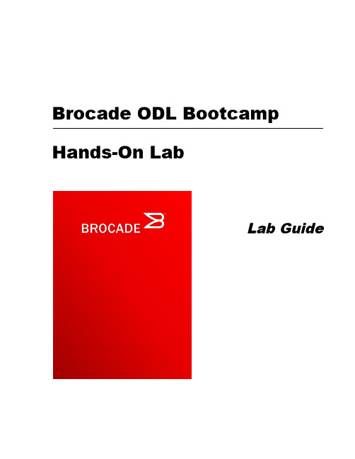 BODL_Lab_Guide_v1_4